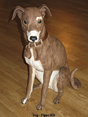 Dog - Pippa Hill